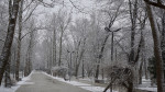 Миниатюра : Зимой в сакском парке