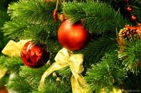Поздравление Сакского городского головы с Новым годом и Рождеством