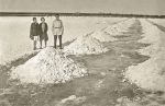 Миниатюра : Добыча соли на соленом озере