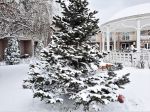 Гостевой дом "Ле-Ди" в снегу