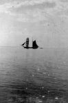 Миниатюра : Море 1903 год