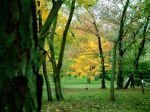 Миниатюра : Осень в парке