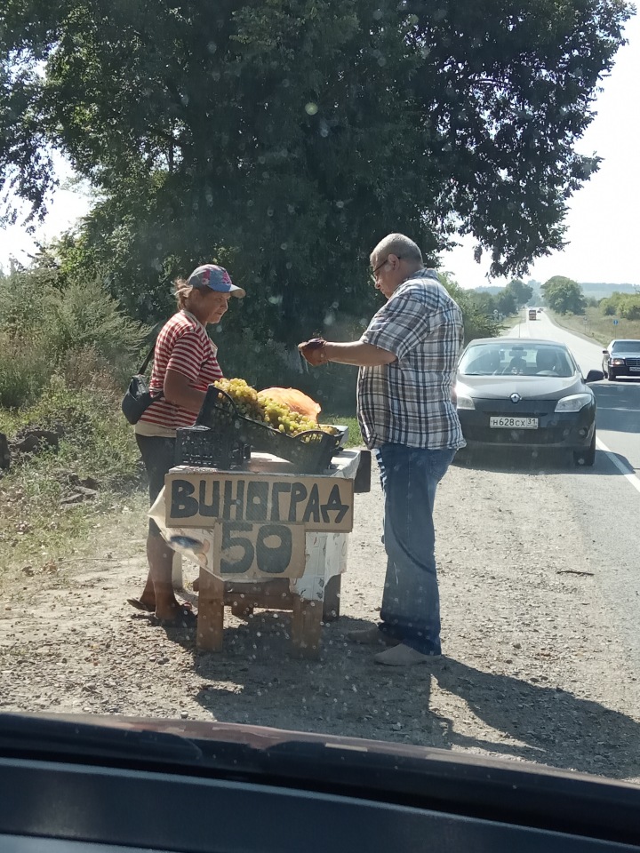 Продажа винограда на трассе