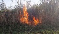 В селе Ивановка горит камыш
