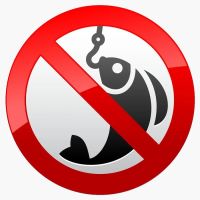 Запрет на лов пресноводной рыбы на 2 месяца, 29 марта 2023